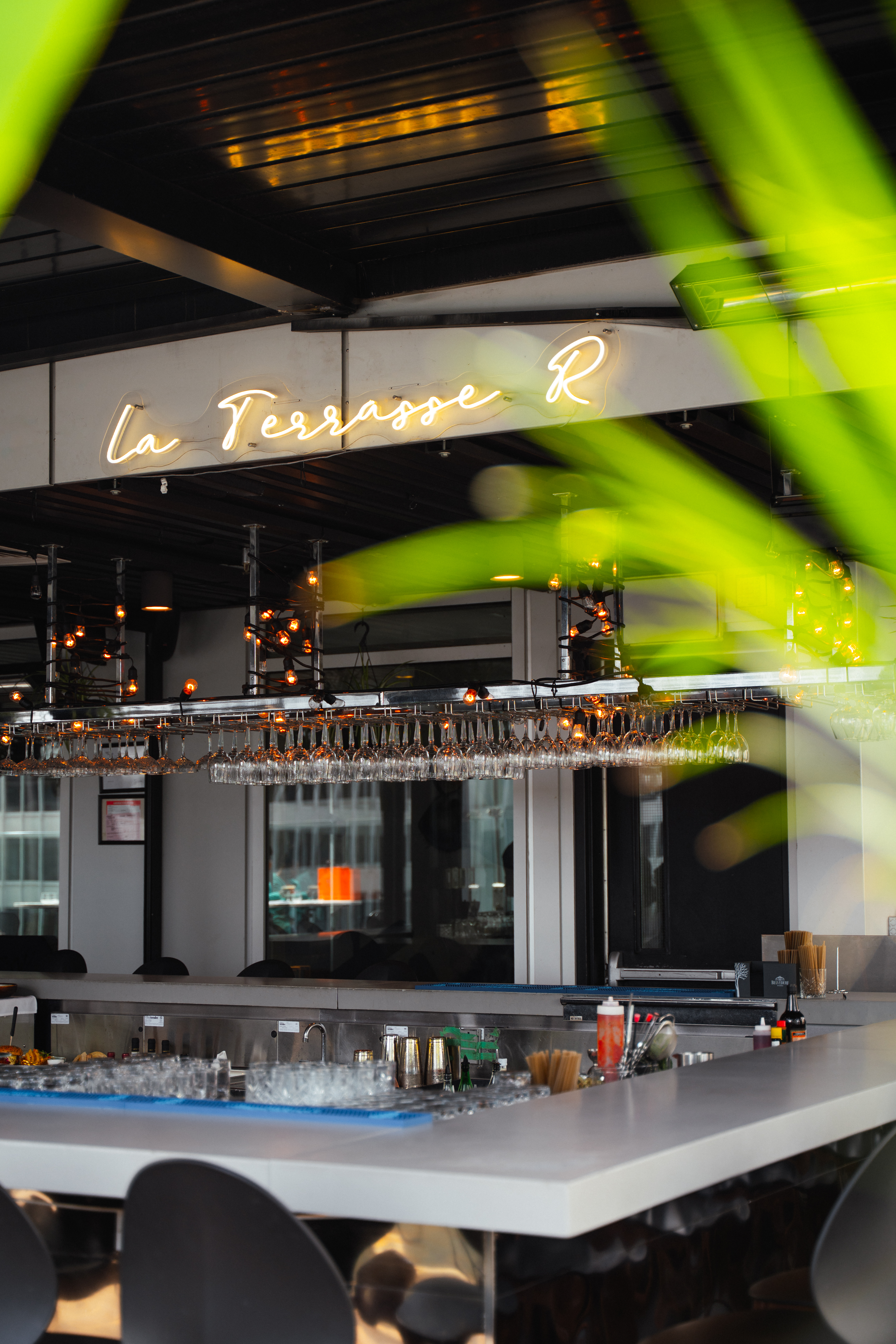 Bar avec neon et plantes tropicales